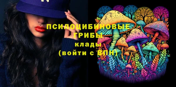 альфа пвп Армянск