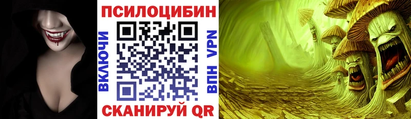 Купить где  Северобайкальск  Псилоцибиновые грибы Psilocybe 
