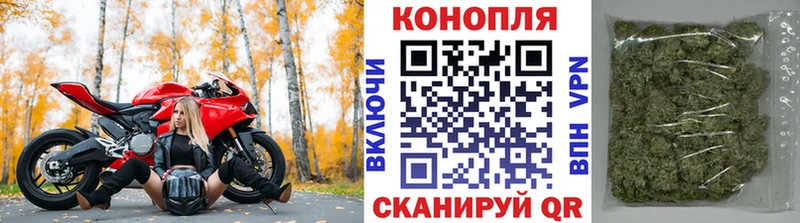 Конопля LSD WEED  Купить закладки  Северобайкальск 